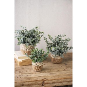 Artificial Eucalyptus Plants in Woven Pots – Decorative Faux Greenery, Set of Three by Kalalou - 1 of 3