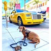 PoisePup – Luxury Pet Dog Waste Bag Holder – Soft Premium Italian Leather Poop Bag Dispenser - Wildest One - 3 of 3