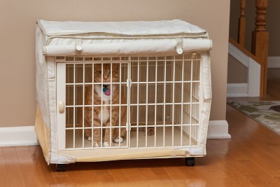 Iris Usa Wire Dog Crate Animal Cage, For Dogs Indoor Target