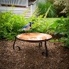 Good Directions 6" Freestanding Bird Bath with Ground Stand - Copper - 2 of 4