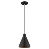 Livex Lighting Metal Shade 1 - Light Chandelier in  Black - 2 of 4