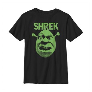 Boy's Shrek Big Face Eyebrow Raised T-Shirt - 1 of 4