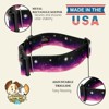 Country Brook Petz HossFit Jr Wide Deluxe Dog Collar - Geek Chic Collection - 4 of 4