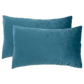 KAF Home Velvet Pillow Cover | Set of 2 Pillow Covers