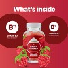 Phytoral Brain Power Gummies, Vitamin B12 1000 mcg Chewable Gummies for Energy & Mood Support, Boosts Immune & Nerves Health, Raspberry Flavor, 90ct - 4 of 4