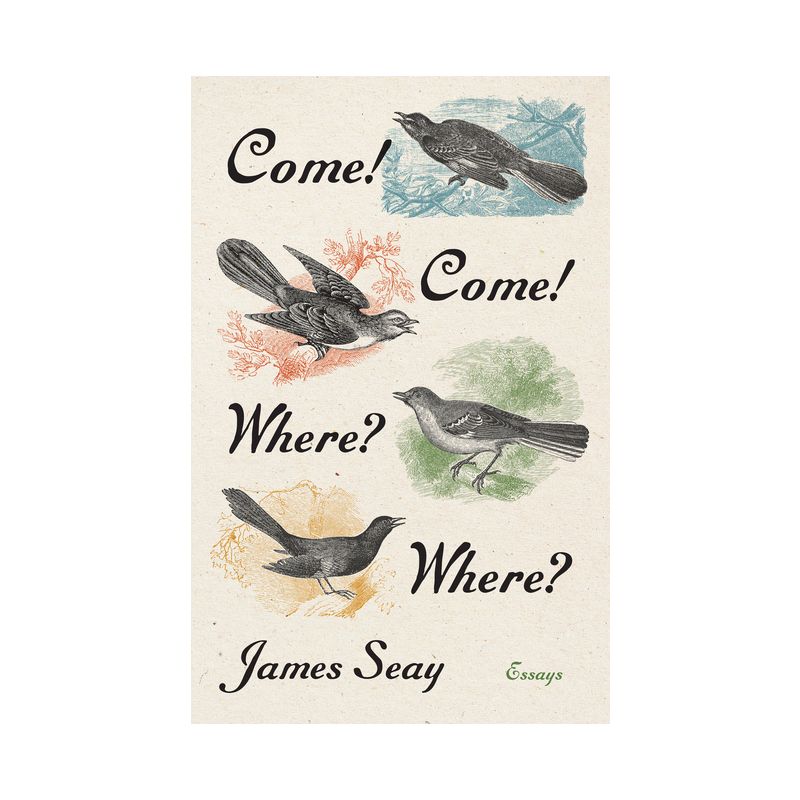 Come! Come! Where? Where? - by  James Seay (Hardcover), 1 of 2