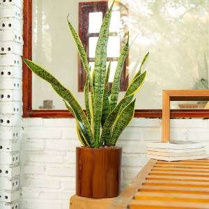 Vynxaria 7.8" Self-Watering Planter Pot with Unique Terracotta Painted Look - 1 of 4