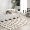 Nuloom Christabel Checkered High-Low Shag Indoor Area Rug - image 2 of 4