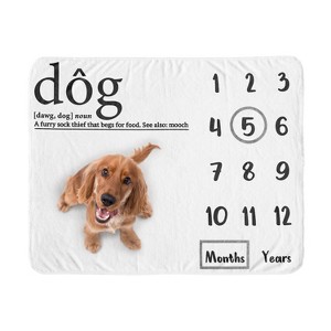 Sweet Jojo Designs Dog Birthday Milestone Blanket Dictionary White and Black - 1 of 4