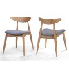 Set of 2 Barron Dining Chair Gray - Christopher Knight Home - 2 of 4