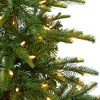 Nearly Natural 5-ft Layered Washington Spruce Christmas Tree with 200 Clear Lights and 385 Bendable Branches - 4 of 4