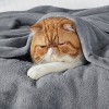 Cozy Comfort by Bedsure | Flannel Blanket Solid 260GSM Soft Fuzzy Plush Bed Blanket - 3 of 4