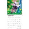 BrownTrout I Love Kittens 2026 12"x24" Hanging Square Wall Calendar Plastic-Free - 4 of 4