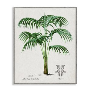Stupell Industries Vintage Palm Illustration Framed Giclee Art - 1 of 4