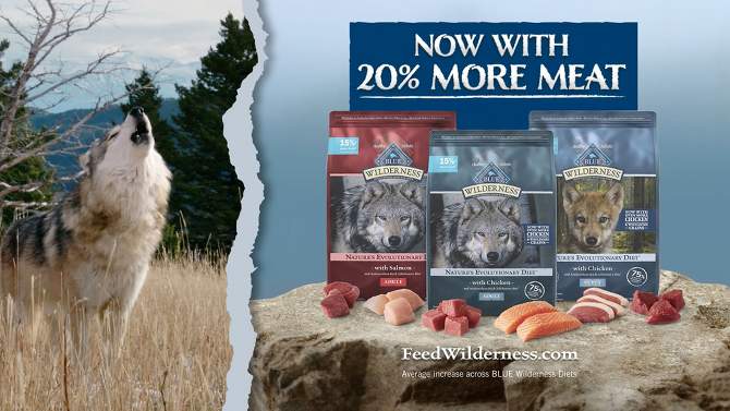 Blue Buffalo Wilderness High Protein Natural Adult Dry Dog Food plus Wholesome Grains with Salmon - 13lbs, 2 of 12, play video