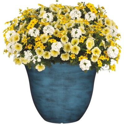 Blue Jean 13-Inch Resin Indoor/Outdoor Round Planter