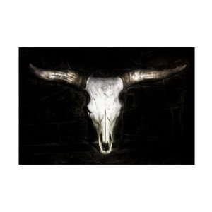 Trademark Fine Art -Phburchett  'Cow Skull' Canvas Art - 1 of 4