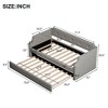 PAGED Twin Size Daybed Modern Pine Bed Frame with 2 Storage Drawer for Bedroom and Living Room - 4 of 4