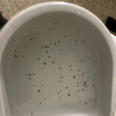 Guest review image 2 of 3, zoom in