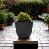 Rosemead Home & Garden, Inc. Concrete Outdoor Planter Pot Black 10"x10" - 4 of 4