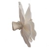 Vickerman 1-3" Natural Botanicals Assorted Natural Dried Sola Flower Head - 3 of 3
