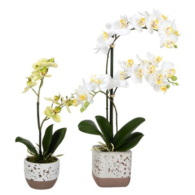 Vickerman 13.5", 18" Artificial Mini White Phalaenopsis, Set Of 2, Real Touch
