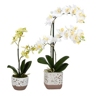 Vickerman 13.5", 18" Artificial Mini White Phalaenopsis, Set Of 2, Real Touch - 1 of 2
