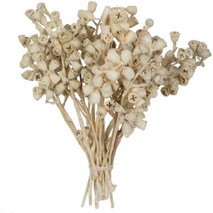 Vickerman Natural Botanicals 11" x 2-4" Conical Gum Branch, 20 stems per unit - 1 of 4