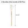 Unique Bargains Decorative Natural Dried Floral Bunny Tail Artificial Plants 120 Pcs - 2 of 4
