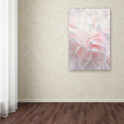 Pink Peony Petals IV 16x24 Canvas Wall Art