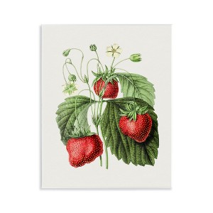 Stupell Industries Vintage Strawberries Study, 14" x 11" - 1 of 4