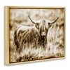 Stupell Industries Vintage Cow In Pasture Floating Frame Canvas Art - 2 of 4