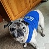 Parisian Pet 'Awesome' Dog & Cat T-Shirt – Comfortable & Lightweight Cotton, Funny Novelty Pet Shirt – Blue - 3 of 4