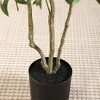 Kazeila 6FT Artificial Plastic Olive Tree in Pot, Pre Potted Faux Greenry Olive Tree for Home Decor - 3 of 4