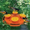Songbird Essentials Ultimate Oriole Feeder, 32 oz. - 3 of 3