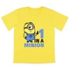 Despicable Me Boys' Movie Minions 1 In A Minion Sleep Pajama Set Shorts - 2 of 4