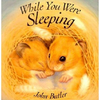 While You Were Sleeping - by  John Butler (Board Book)
