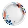 Dixie Everyday Disposable Paper Plates 10" - 210ct - 2 of 4