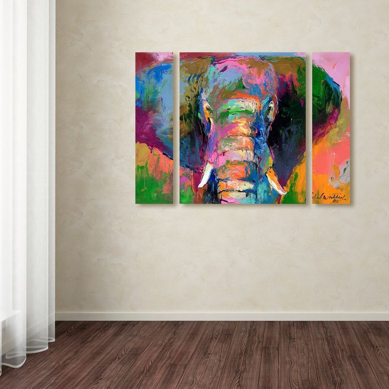 Trademark Fine Art - Richard Wallich 'Elephant 2' Multi Panel Art Set Large, 3 of 4