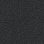 florida state seminoles