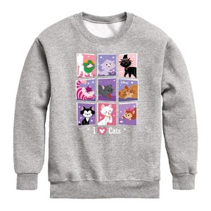 Boys' - Disney - Cats & Dogs Graphic Long Sleeve Fleece Sweatshirt - 1 of 4