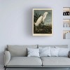 Trademark Fine Art -John James Audubon 'Snowy Heron' Canvas Art - 2 of 4