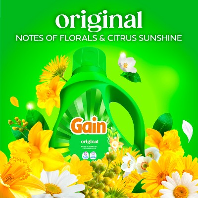 Gain Original Moonlight Breeze HE Liquid Detergent 19 Loads - 25 fl oz