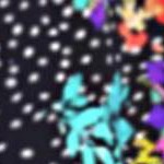 multi floral dot