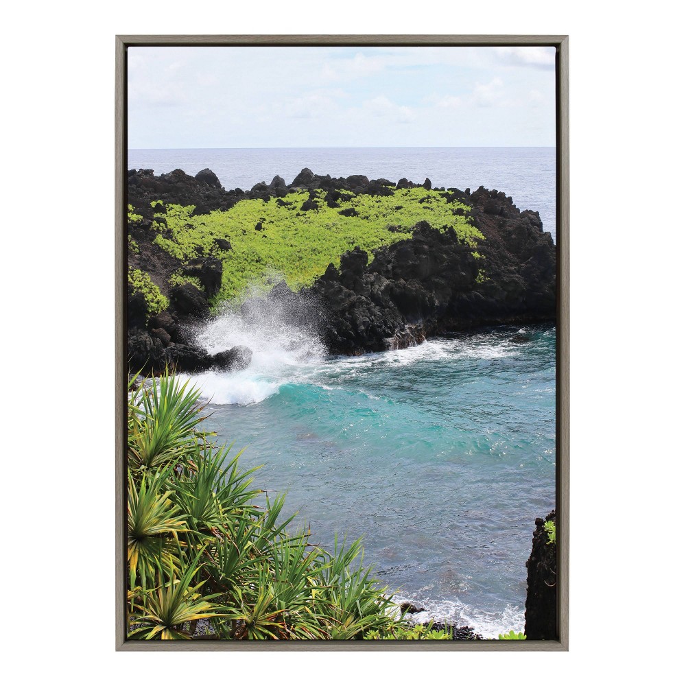 Photos - Other interior and decor 28"x38" Sylvie Maui Black Sand Swell Framed Canvas by Rachel Dowd Gray - K