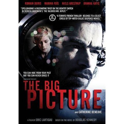 The Big Picture (DVD)(2013)