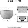 Rosemead Home & Garden Inc. 11" Dia Round Indoor & Outdoor Concrete Bowl Planter Natural Finish - 2 of 2