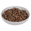 Vickerman Natural Botanicals 0.8-1.2 inch Cane Fruit Natural. Dried, preserved natural product. - 3 of 3