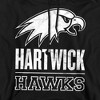 Men's Hartwick College Distressed Primary Logo Pull-Over Hoodie - 2 of 4