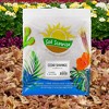 Soil Sunrise Natural Cedar Shavings Mulch / Bedding, Garden Mulch and Small Animal Pet Bedding - 2 of 4